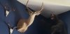 20190520_151255.jpg