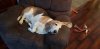 20190416_181130.jpg
