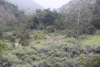 5E03DF7C-8406-417B-90EF-940C490CED84.png