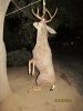 Bucks & Wister 10-31-12 104.JPG