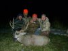 wyoming buck.jpg