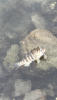 A49EA6CF-97CE-4502-B355-E65A9B2D2637.png