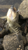 A072DB26-431E-4F0C-9DF7-F50D69F7FE53.png