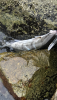 2194F3F4-DAFD-4F50-B514-17809A540742.png