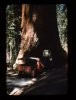 scan049.jpg