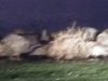 IMG_20190724_202006.jpg