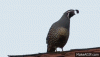 1752B536-C097-4933-A719-8551D952AD9A.gif