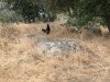 5C9A3126-2607-4D5D-8708-7C23697D2250.jpeg