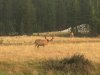 AFE5922B-53D8-4D12-BA39-F5238AD4DDB5.jpeg