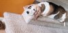 20190502_104035.jpg