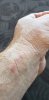 20190815_170739.jpg