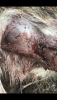 72D6D717-D12B-48F8-A2DD-2546F343A1D7.png