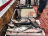12239_fishing 5.jpg
