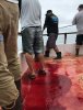 12239_fishing 2.jpg