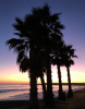 6E965132-AB85-4ACF-897D-479BF7B52811.png