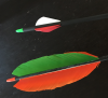 0B4267BE-F8BD-4DD4-8131-1B95AD70BC30.png