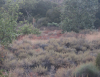 3DDF939C-D481-438D-A9A5-D62900B87330.png
