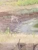 20190827_153719.jpg