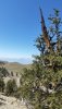 20190818_113739.jpg