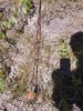20190829_125253.jpg