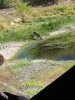 20190829_100948.jpg
