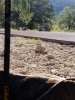 20190831_082301.jpg