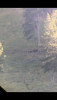3598E9DB-5D66-4FFF-81AB-D5449F92F0D1.png