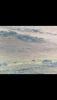 E3910494-A56C-46D6-9D3B-AA12AC275412.png