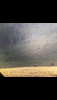 D828E90D-8345-4B95-8F7D-9803E08B263D.png