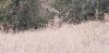 20190904_063023.jpg