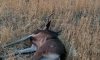 20190905_092435.jpg