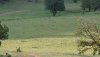 20190906_072237.jpg