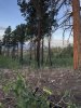 A66E3EBA-62AD-4D15-87A8-6C8CE325CF95.jpeg