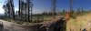 185E1A0C-D8CB-450D-BC18-8E5DFE502845.jpeg