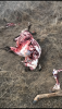 06778C35-663C-4556-8D97-54B0CE572989.png
