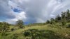 20190910_172443.jpg
