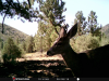 7A4CAFD7-45C9-4711-93AE-F6D02E74F0E7.png
