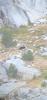005CF4C4-9FBC-4BF9-ADE9-66870E93E5F3.png