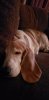 20190824_193624.jpg