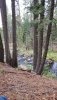20190928_073004.jpg
