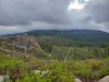 20190928_084546.jpg