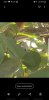 Screenshot_20191005-152443_Gallery.jpg