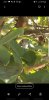 Screenshot_20191005-152745_Gallery.jpg