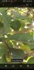 Screenshot_20191005-152250_Gallery.jpg