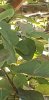 Screenshot_20191005-152231_Gallery.jpg