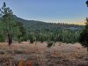20191006_071114.jpg