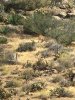 1CFE2607-536D-4346-9726-3625D71603B9.jpeg