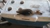 IMG_20191013_093849.jpg