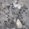 20191025_072957.jpg