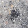 20191025_073026.jpg